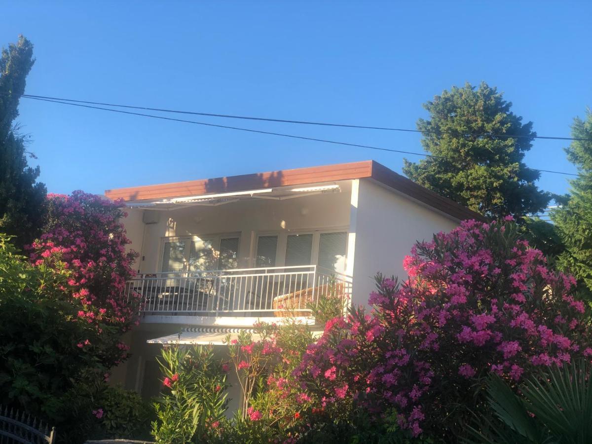 Apartmani Focic 셀스 외부 사진